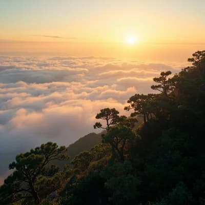 Nature Alishan Clouds