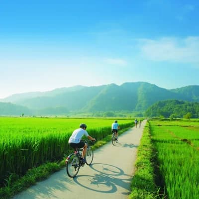 Bicycle Road 01