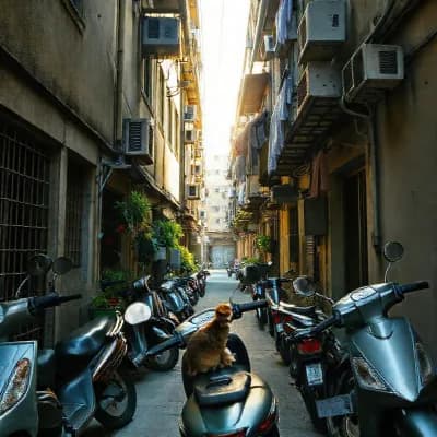 Street 034